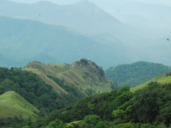 Ettina Bhuja