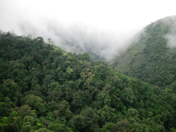 Silent Valley