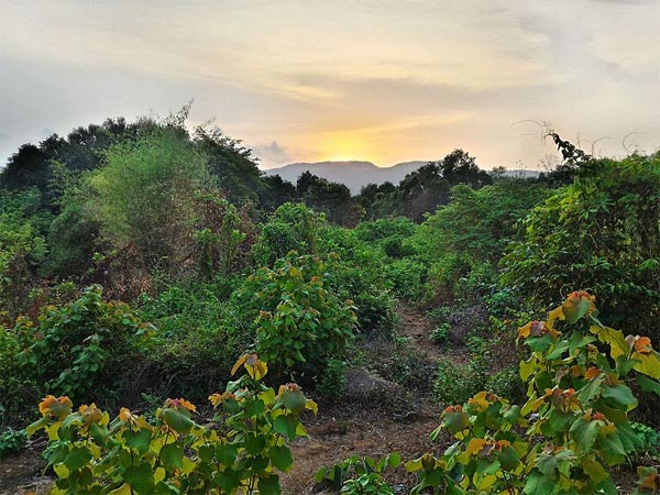 Trekking At Pali