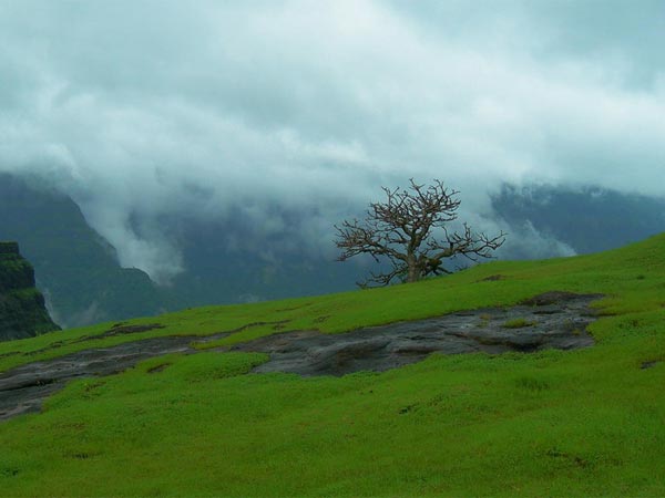 Best Time To Visit Junnar