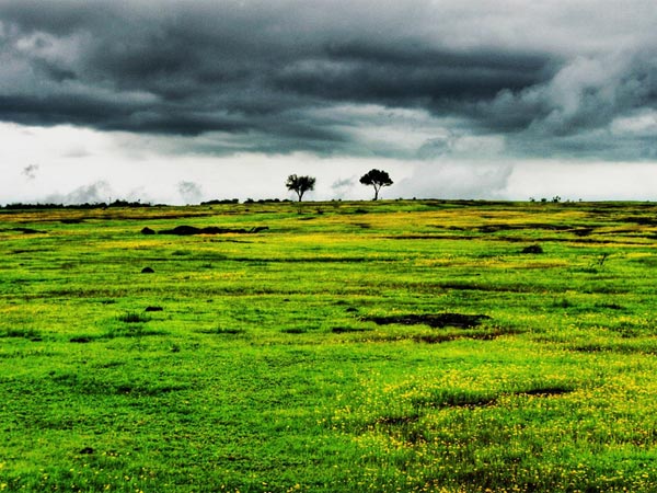 Trek To Naneghat