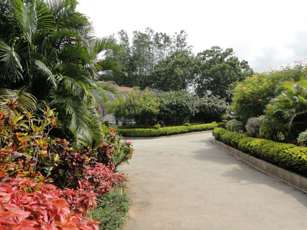 Hirwa Van Garden