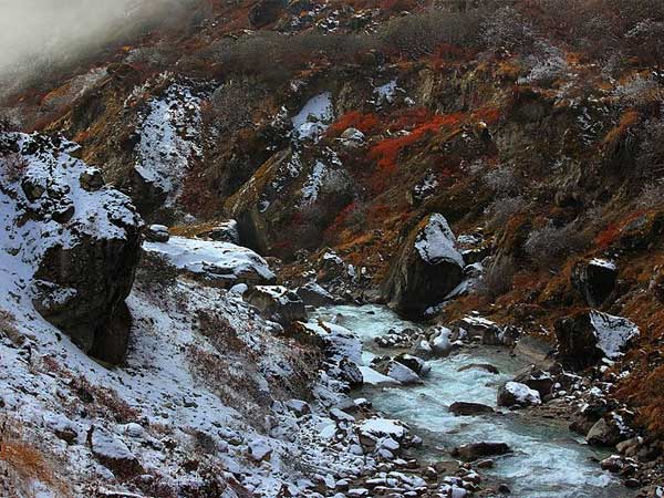 goechala trek guide goechala trek guide