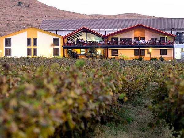 Sula Vineyards