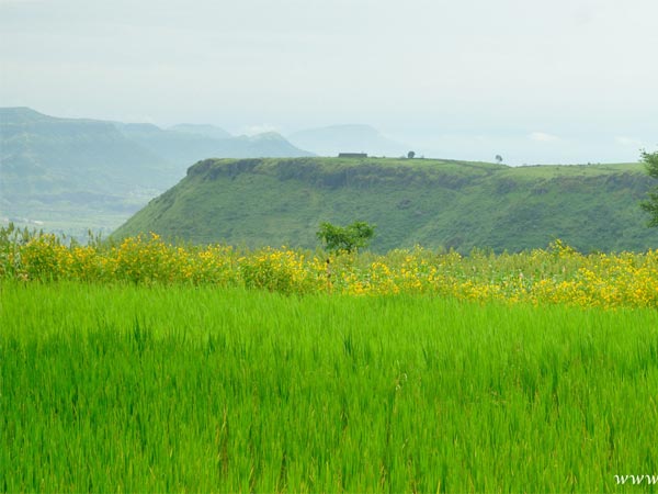 Satara