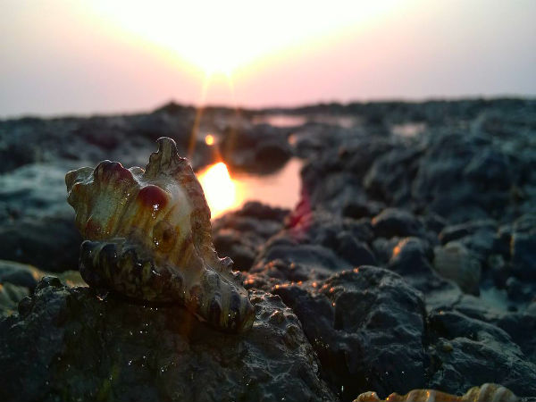 How To Reach Daman