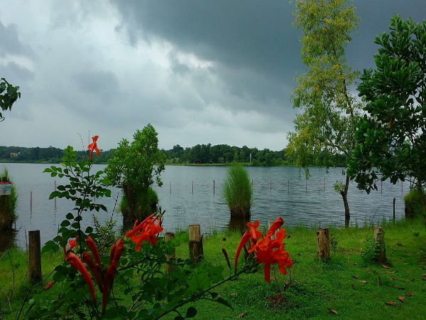 Short Stop At Durshet