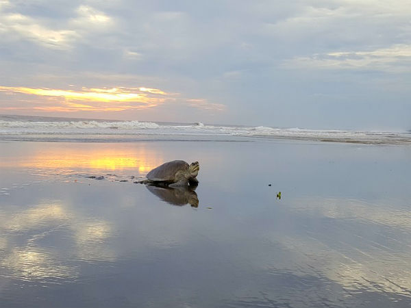 Destination: Velas