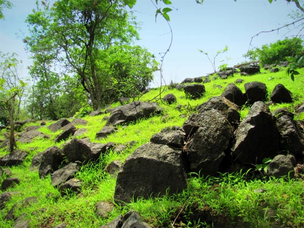 Trekking At Bhimashankar