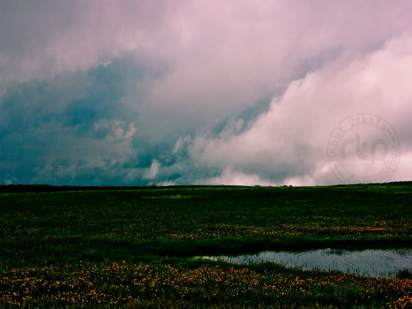 Destination: Satara
