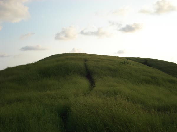 Dapoli
