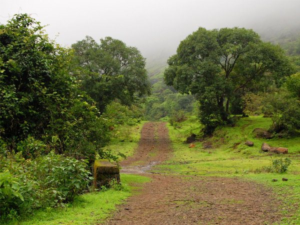Trek via Lonavala