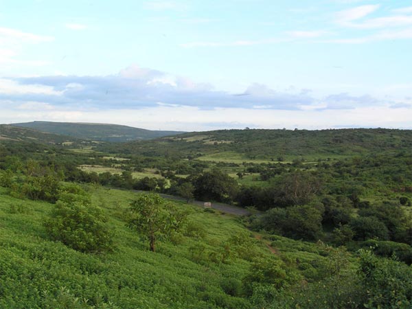 Shirgaonkar Point