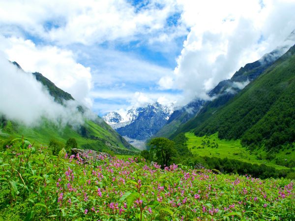 1. Valley Of Flowers National Park
