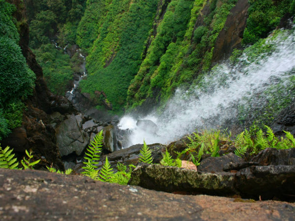 2. Agumbe Reserve Forest