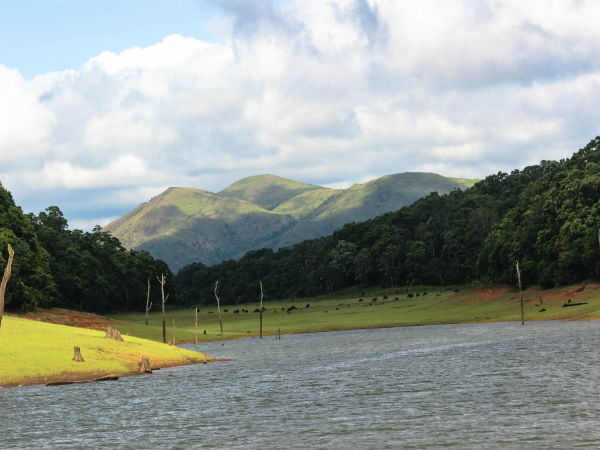 3. Periyar Tiger Reserve