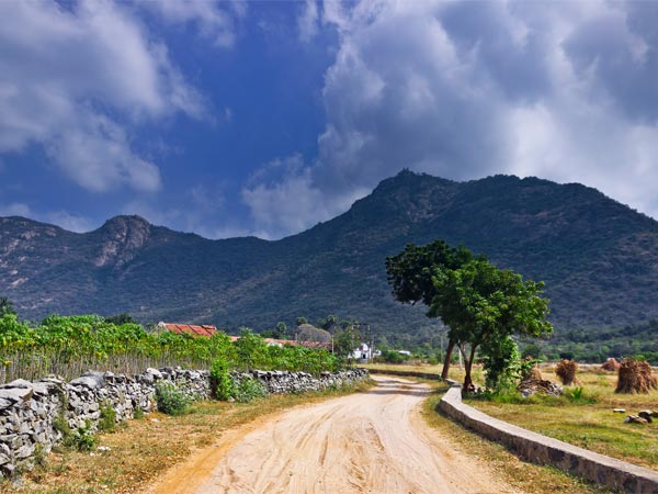 Bangalore To Kolli Hills