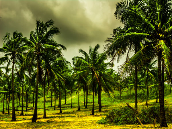 Xelpem – Goa
