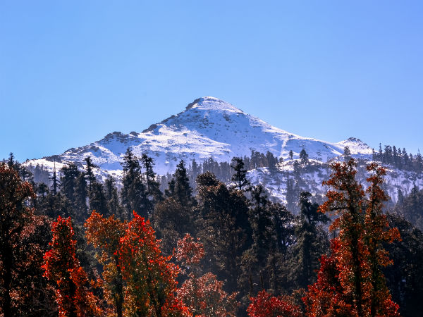 Sankri – Uttarakhand