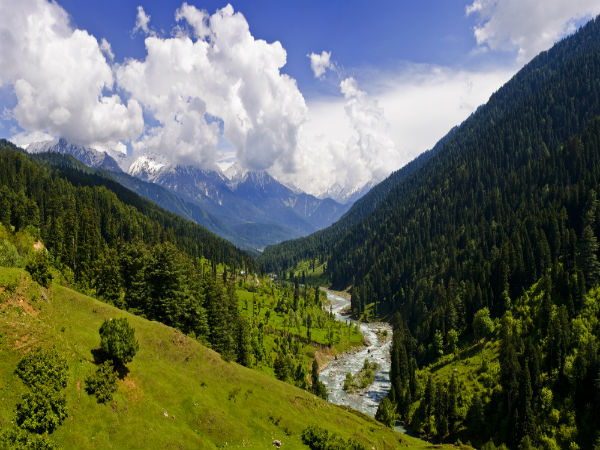 Shansha – Himachal Pradesh