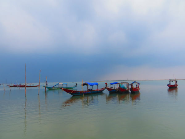 1. Watch Dolphins At Chilika Lake