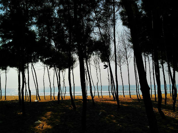 2. Go To The Lesser Known And Pristine Chandrabhaga Beach