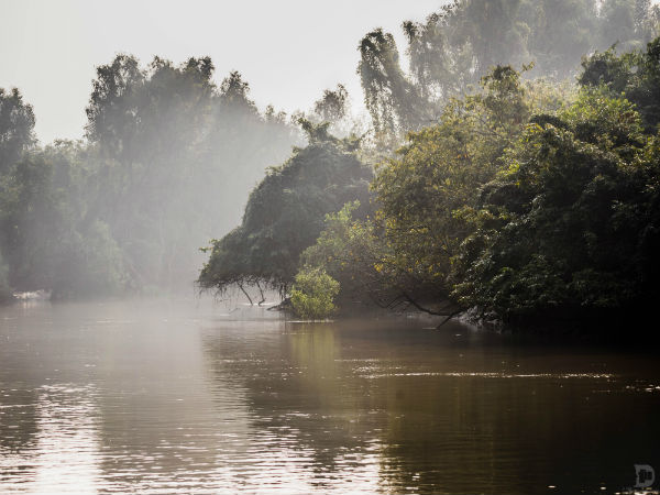 5. Go for A Boat Ride Through Bhitarkanika