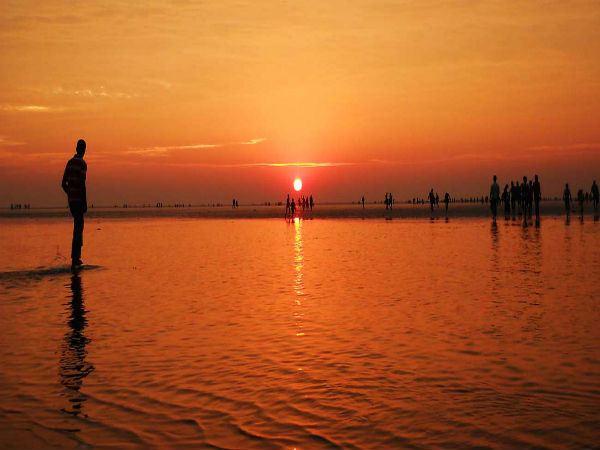 6. Head To The Hide And Seek Beach Of Chandipur