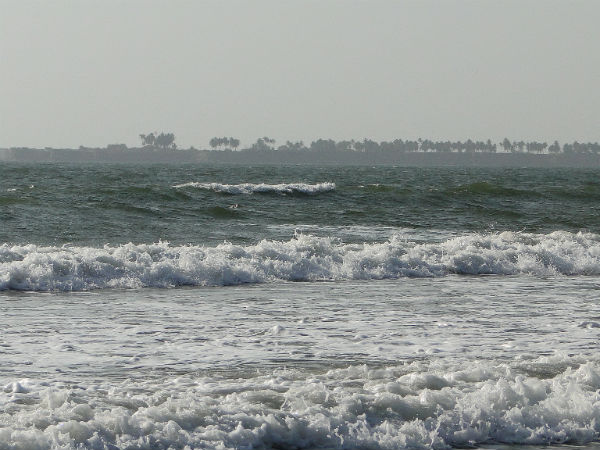 Tarkarli