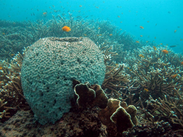 Andaman and Nicobar Islands