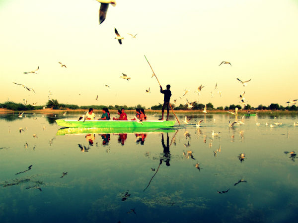 7. Nal Sarovar