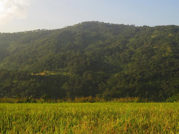 Visit The Switzerland Of East, Haflong