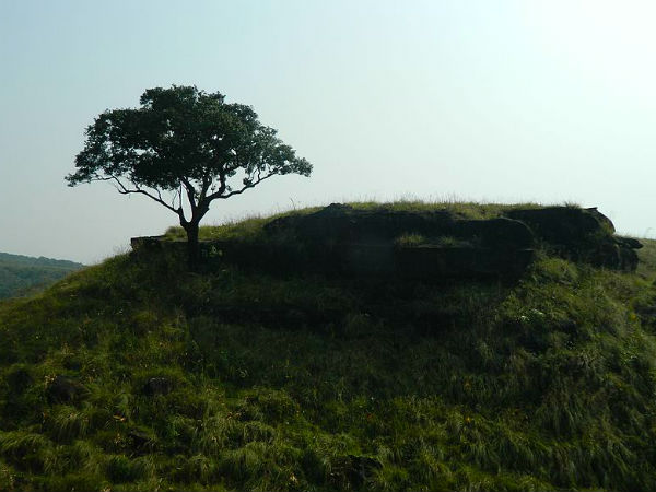 Balpakram Forest, Meghalaya
