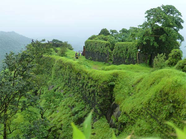 Karnala Bird Sanctuary