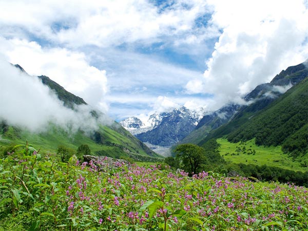 Kaas Plateau – Valley Of Flowers