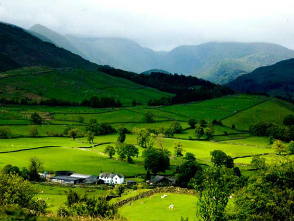 3. Ziro