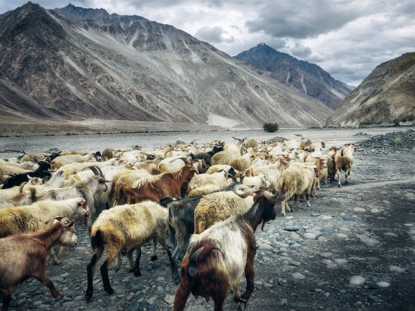 9. Khardung