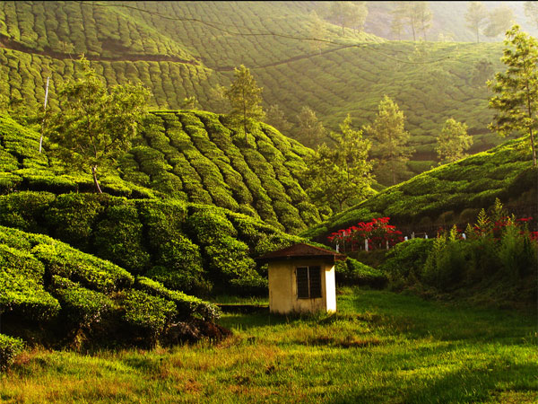 Munnar