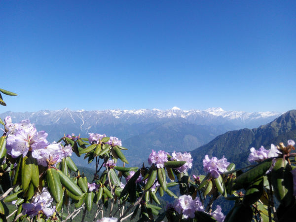 Chandrakhani Pass