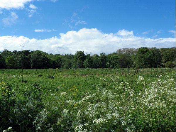 10. Pindar Valley