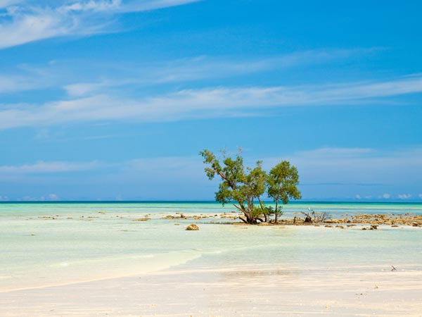 1. At A Secluded Beach In Andaman And Nicobar Islands