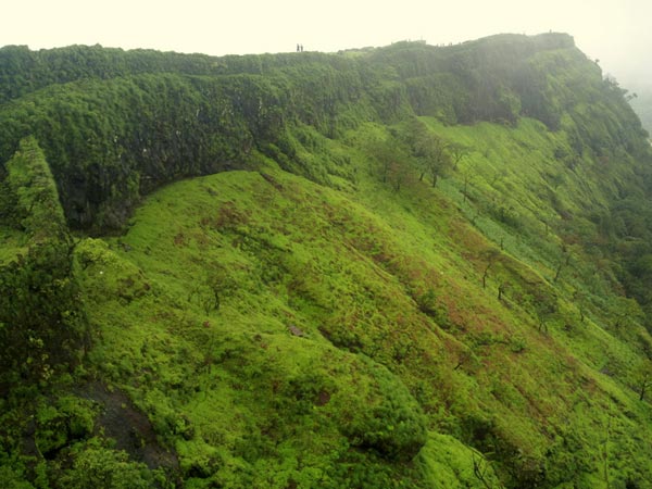 5. At The Depths Of The Western Ghats