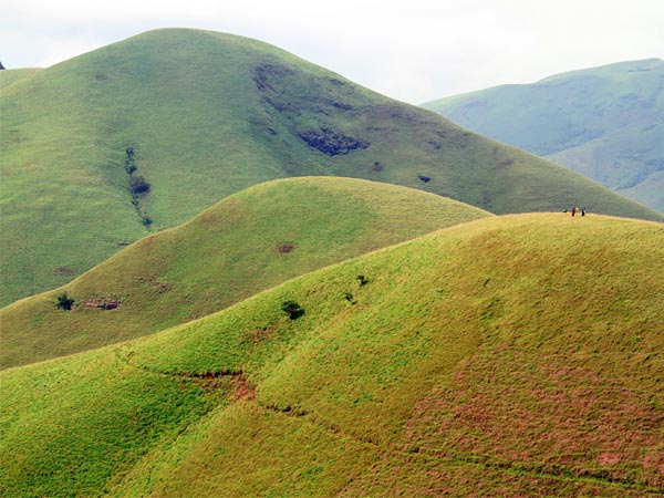 Tadiyanmol