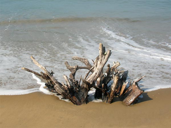 Devbagh Beach