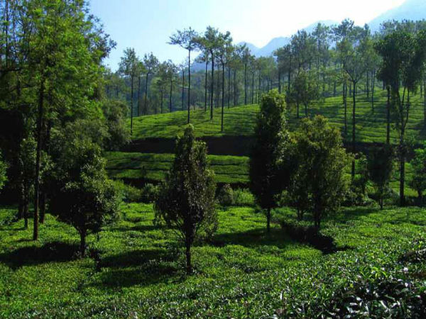 alternatives to munnar in kerala alternatives to munnar in kerala