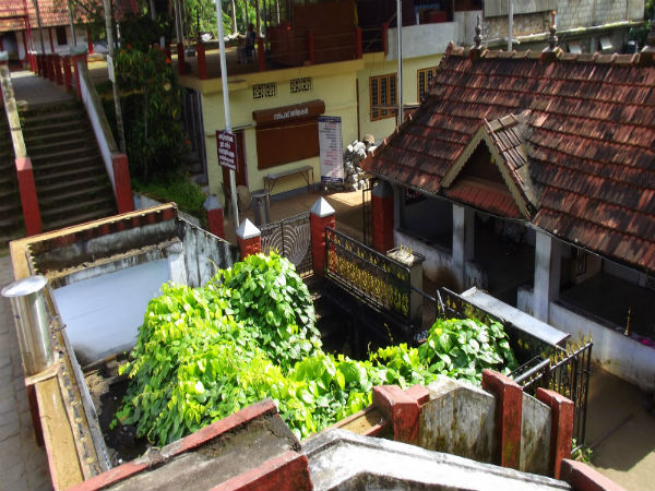 panachikkadu saraswathi temple panachikkadu saraswathi temple