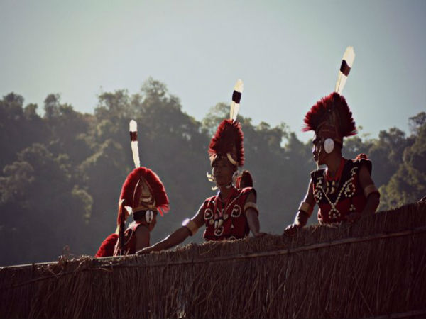 3. Ever Heard Of A State Which Has 17 Tribes And 36 Languages?