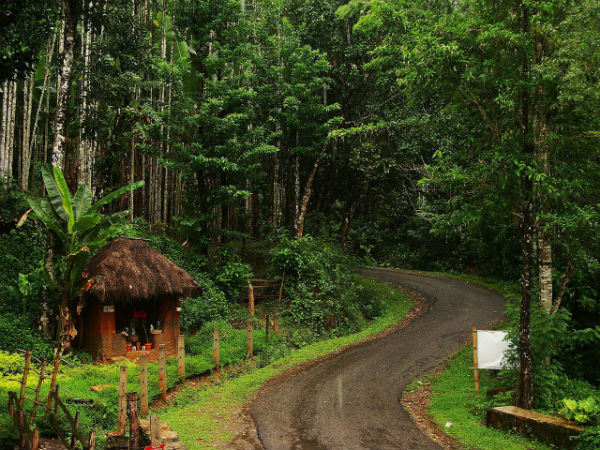 6. Agumbe