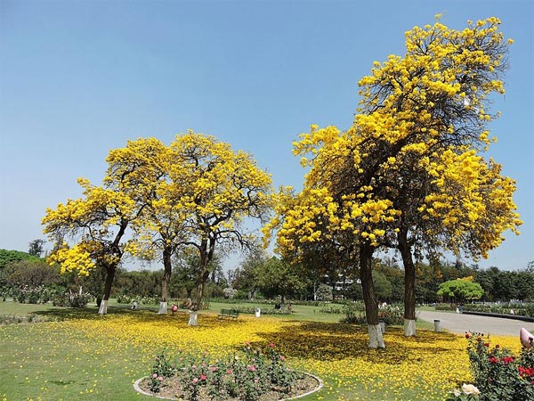 Spend A Day Visiting Gardens Galore