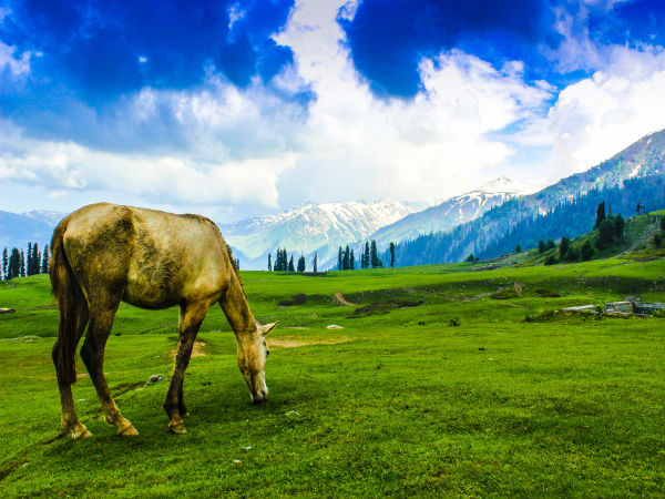 1. Gulmarg